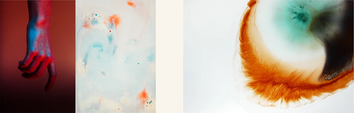 header1.jpg