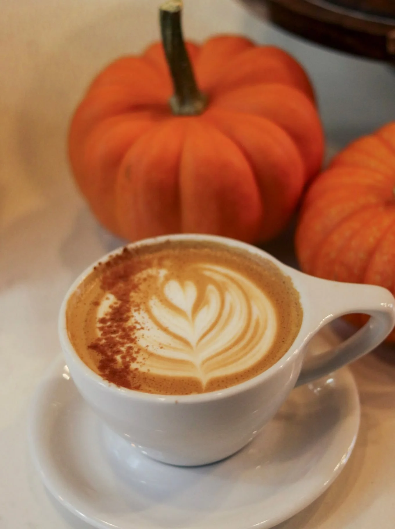 It&rsquo;s officially Pumpkin Spice season! 🎃

Our house-made pumpkin spice syrup is the perfect addition to a cozy latte, perfect for the chillier autumn days. 🍂

Be sure to stop by and try one!