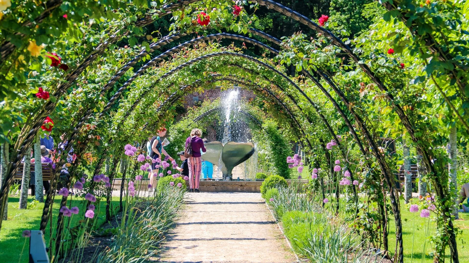 Get Creative in The Walled Garden this Summer!