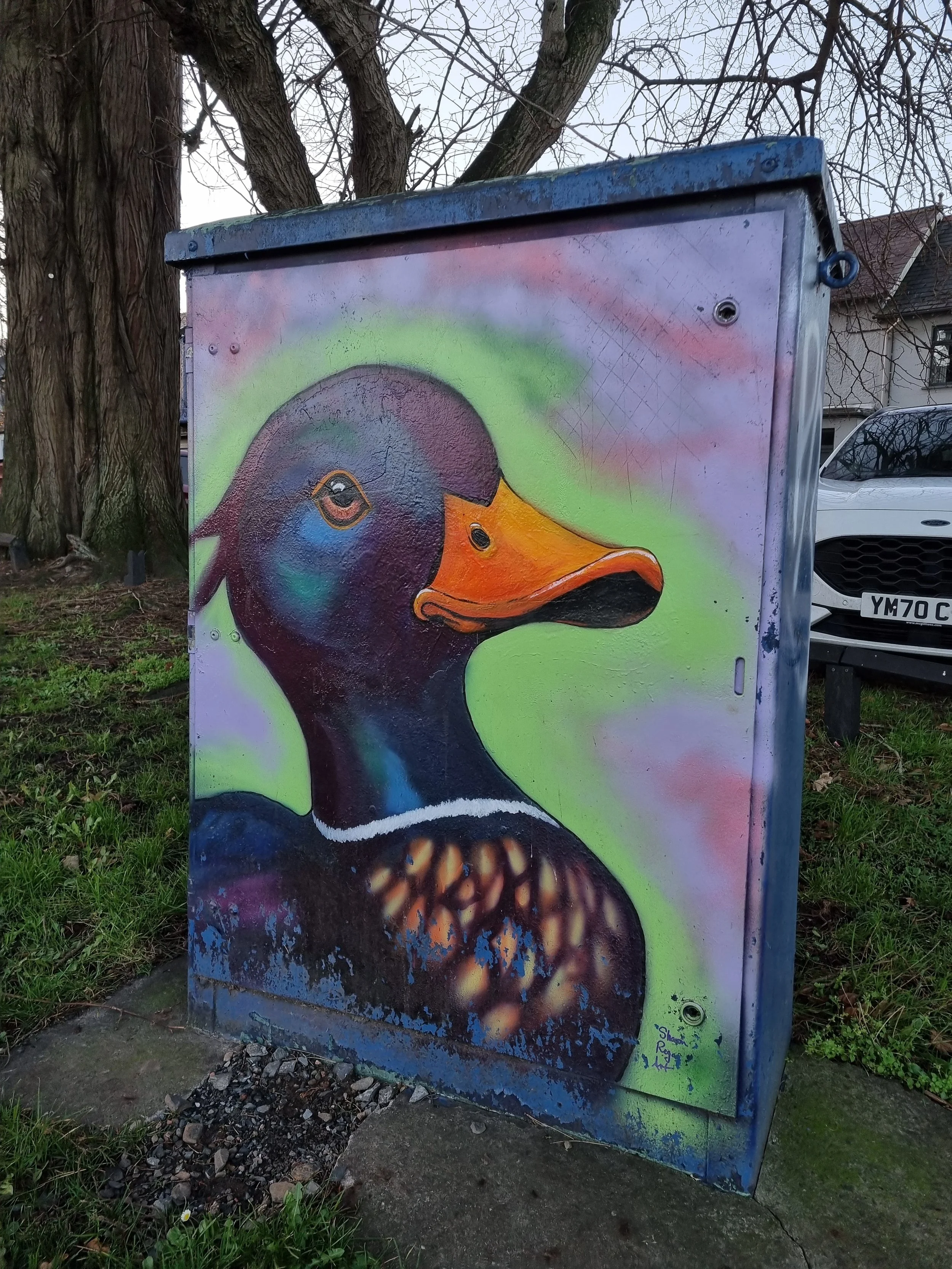 Sharon Regan - Ward Park