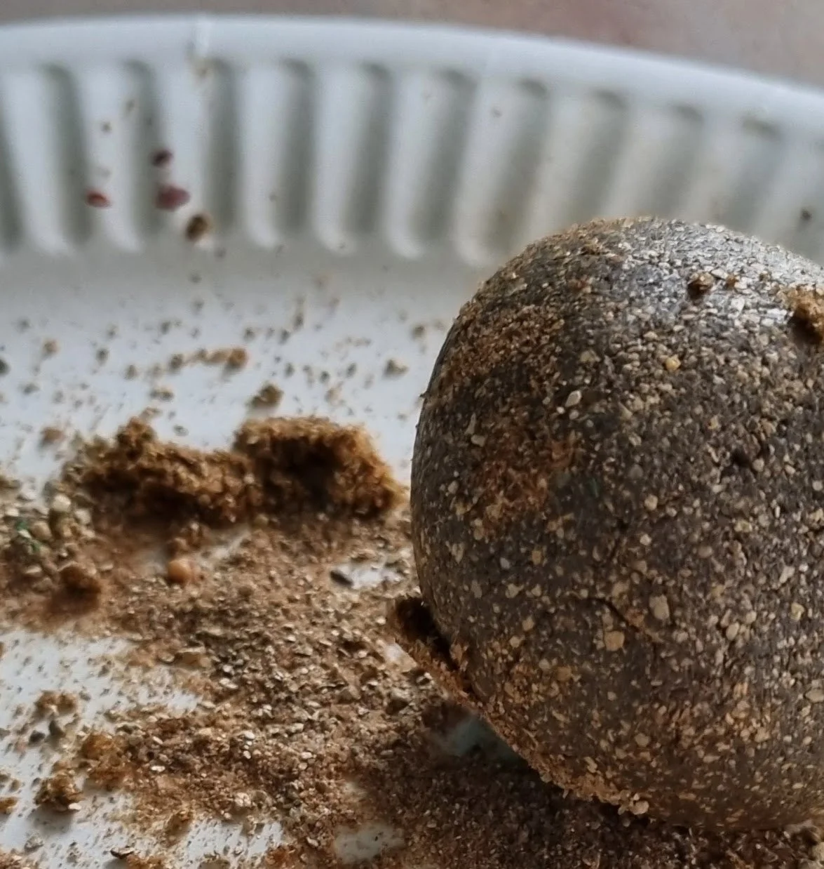 Events - Awake the garden - seed ball clay mud.jpg