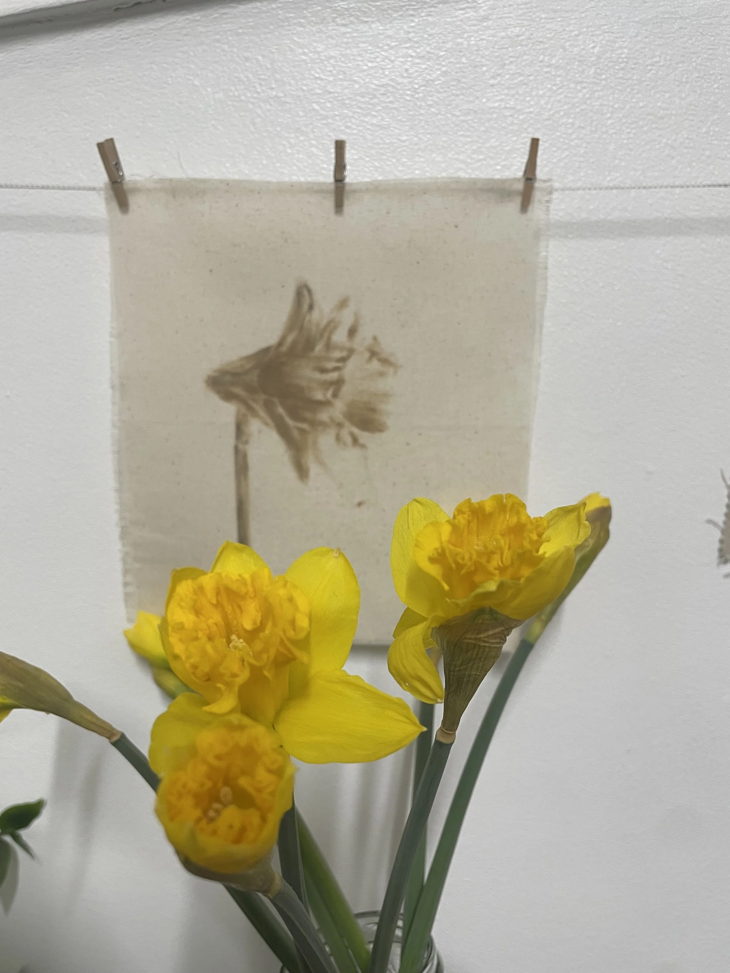 image0 (1) - J Martin.jpeg