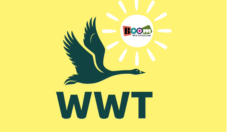 Summer with Boom Studios @ WWT Castle Espie
