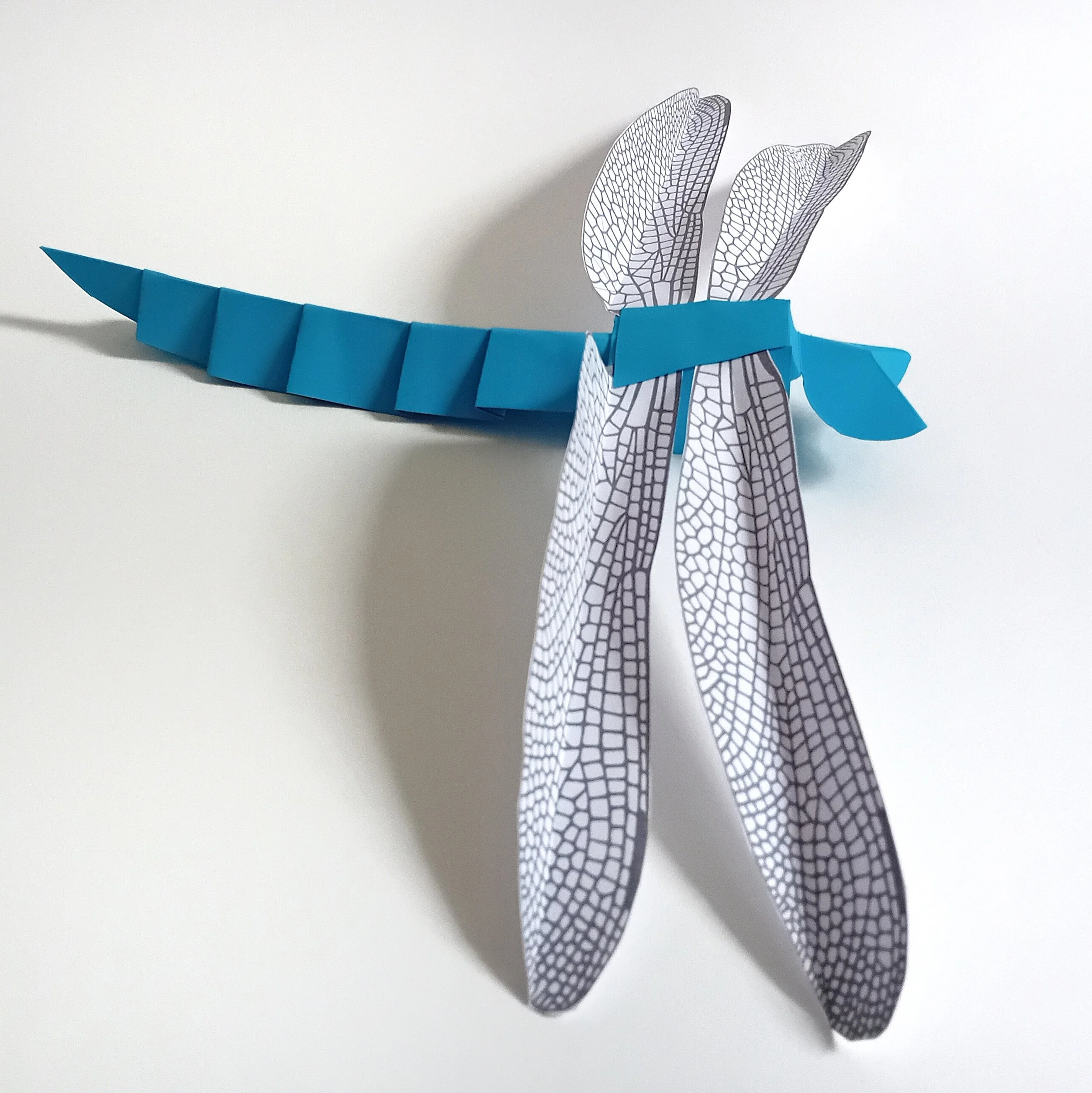 Events - Castle Espie - paper dragonfly.jpeg