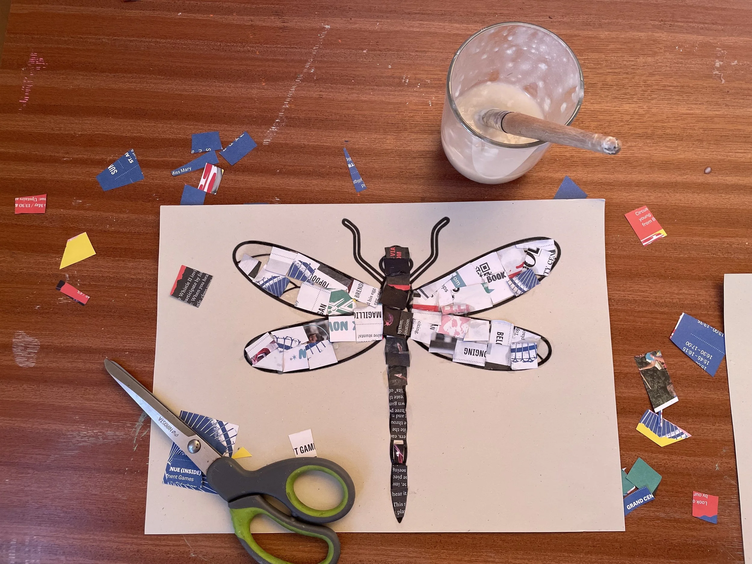 Events - Castle Espie Dragonfly collage.jpeg