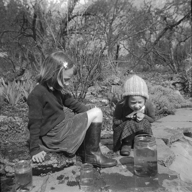 #ponddipping #newts #sweetiejar #1950svintage #sisters #knittedhat #wellies @kathy_freeman_songs #concentration