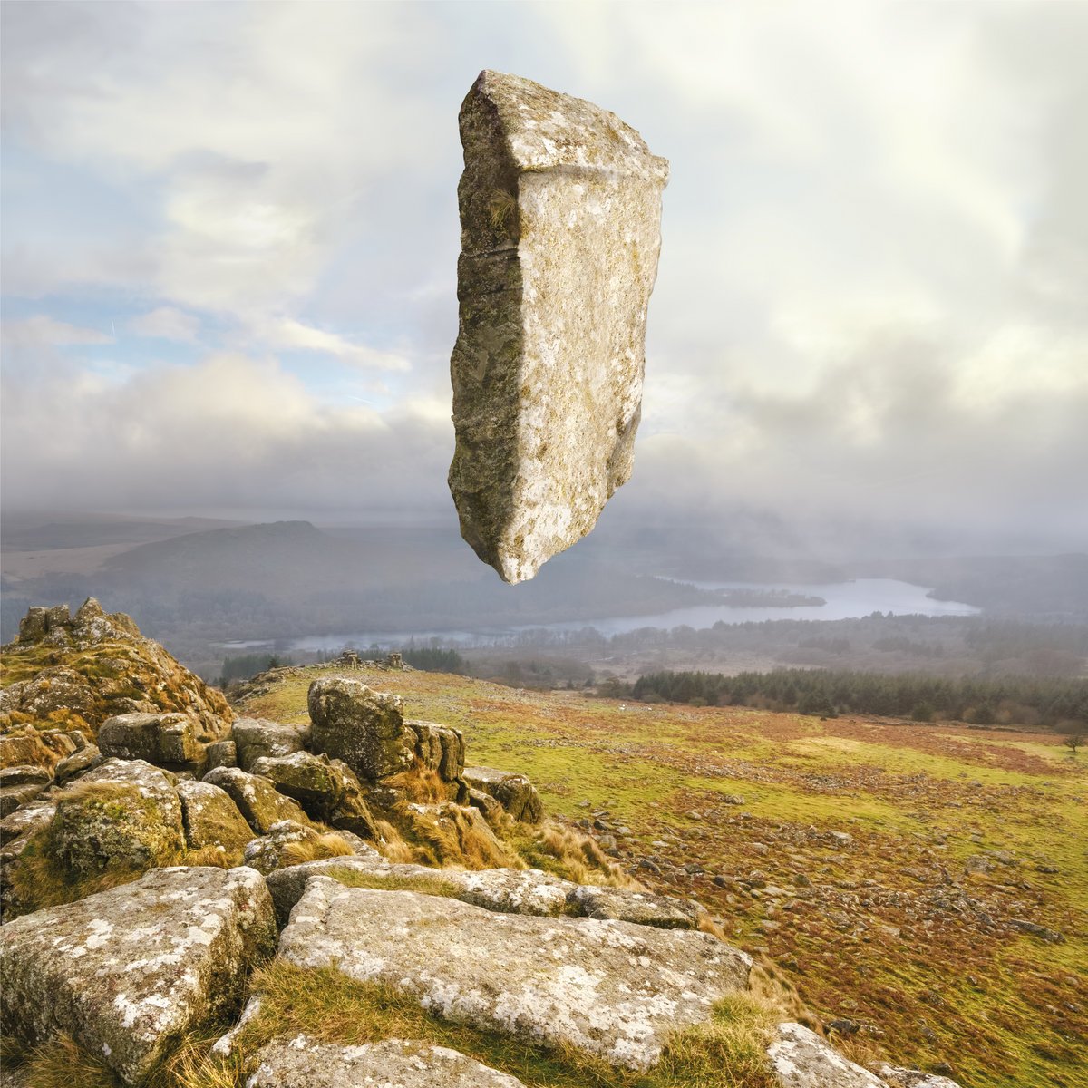 Fraxinus - Position [Displacement]