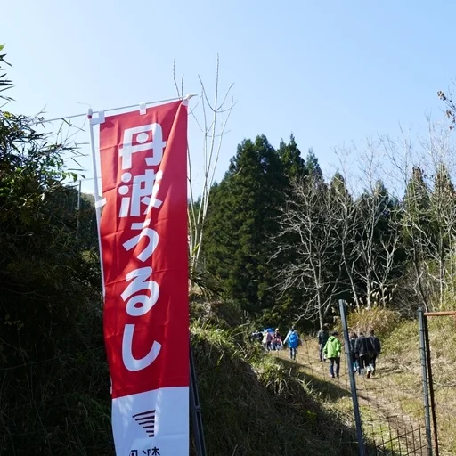 みんなで漆を植えよう！！