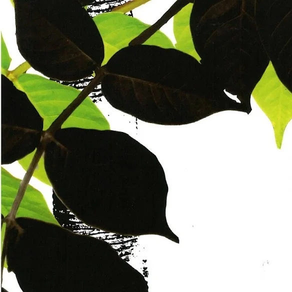 漆サミット2017　in　鎌倉