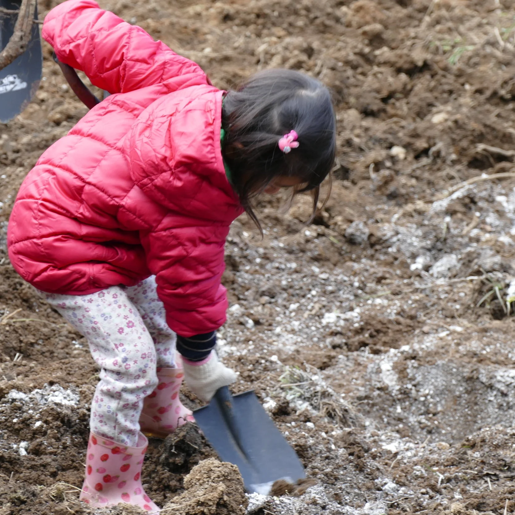 地域に暮らしながら、道具をつくること、漆を植えること、漆を掻くこと