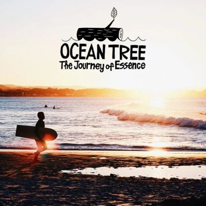 映画「Ocean tree Episode.2」の撮影がはじまりました。