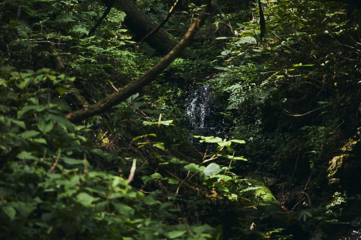 【お知らせ】ポータルサイトが新たにオープンしました。