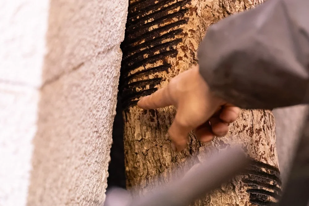 WEBメディア「FUTURE IS NOW」にて取材記事が公開されました