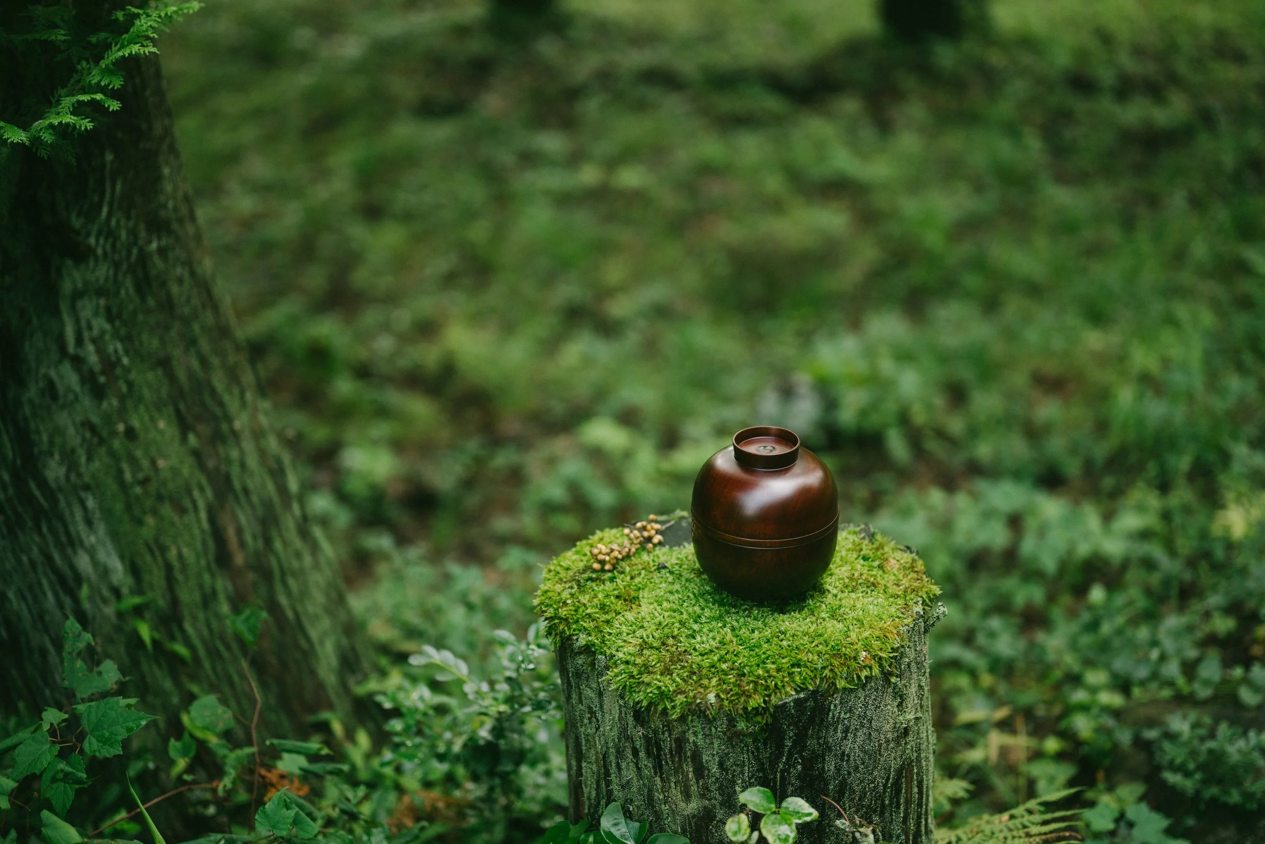 Exhibition「漆、めぐる、めぶく　- Urushi Cycle Living -」開催のお知らせ