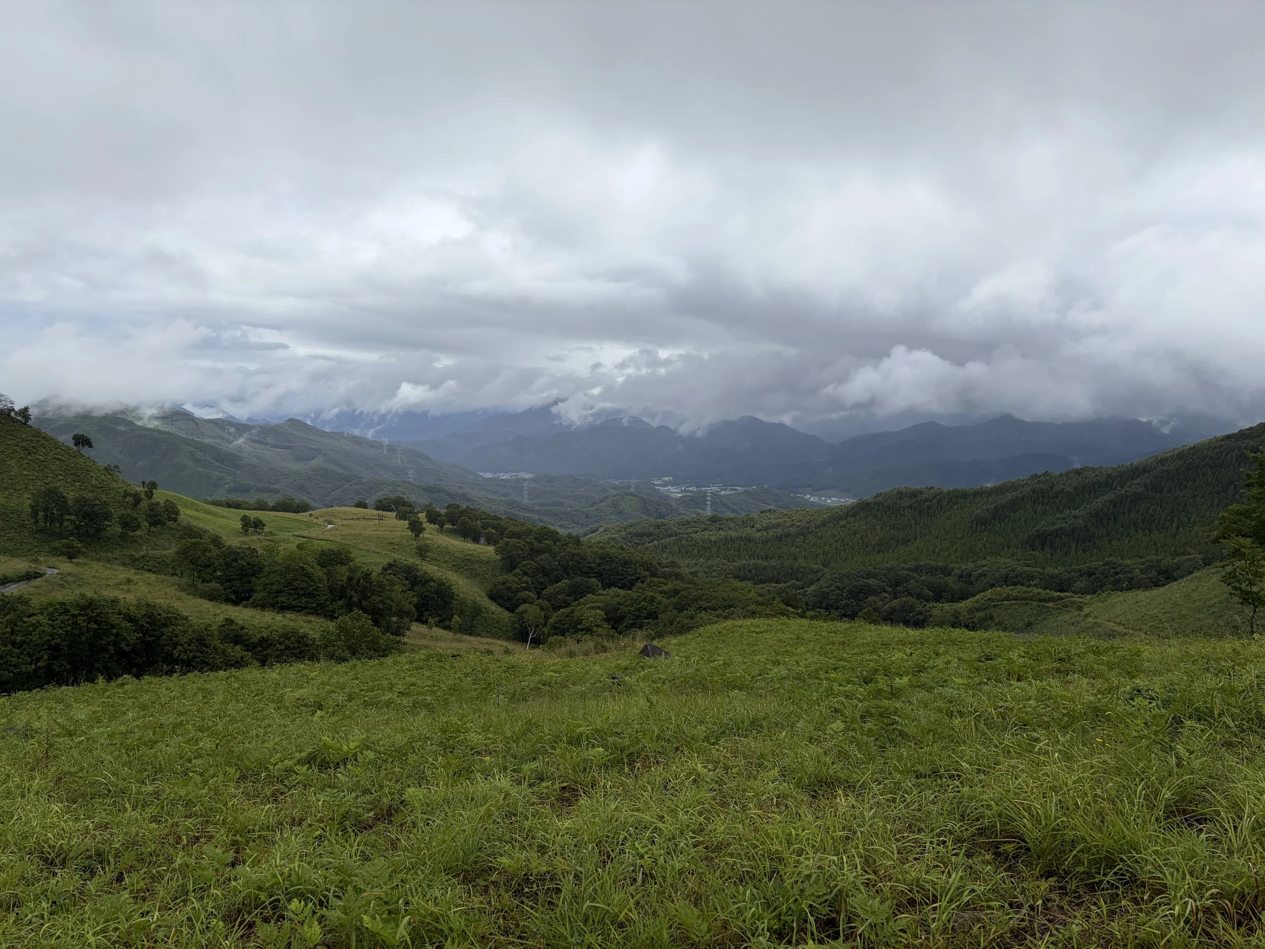 IMG_5364.jpg