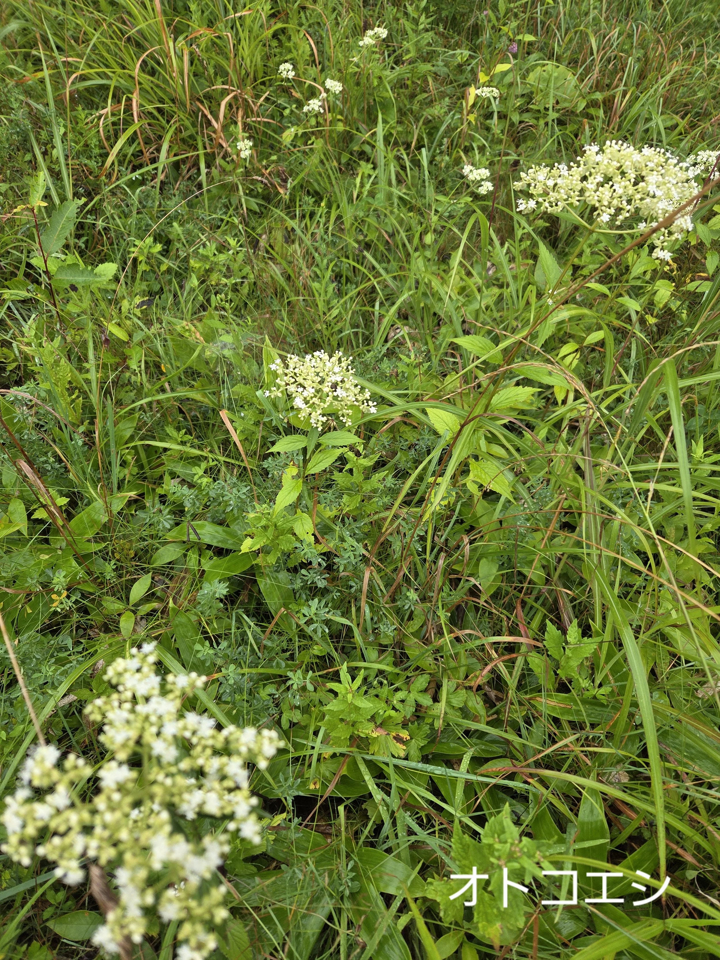 20260827_145442.jpg
