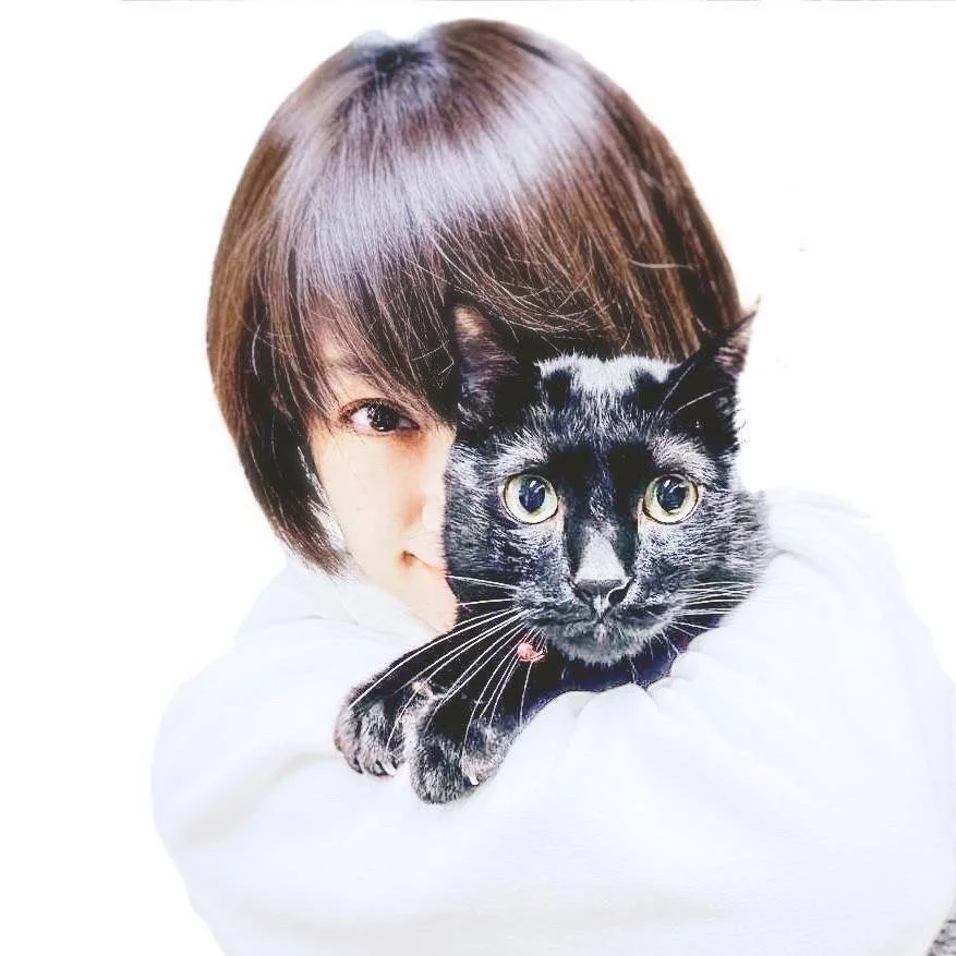 作家　野上千晶　猫　ボール 作家 野上千晶 猫 ボール 愛猫へのプレゼントにもぴったり！陶芸