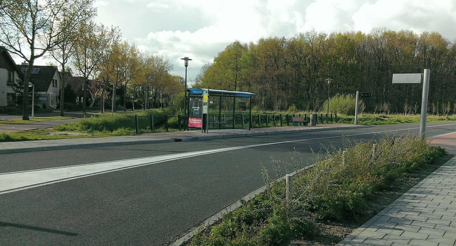 Busbaan bij Dijkgraaf met het Dassenbos op de achtergrond