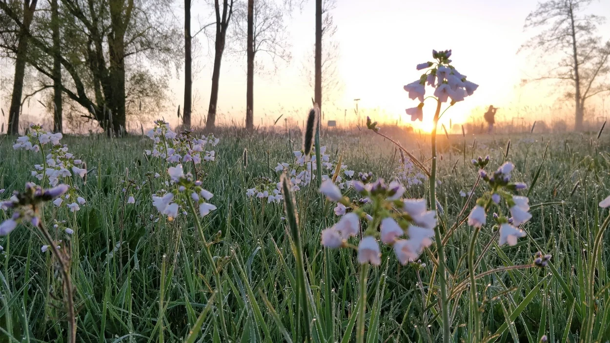 Het Binnenveld heeft grote potentie voor natuur en landschap, natuur-inclusieve landbouw en recreatie.