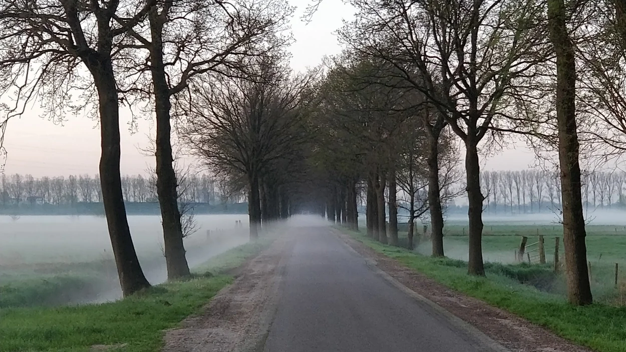 De provinciale wegenplannen bedreigen het Binnenveld, een belangrijk uitloopgebied voor de Wageningse bevolking.