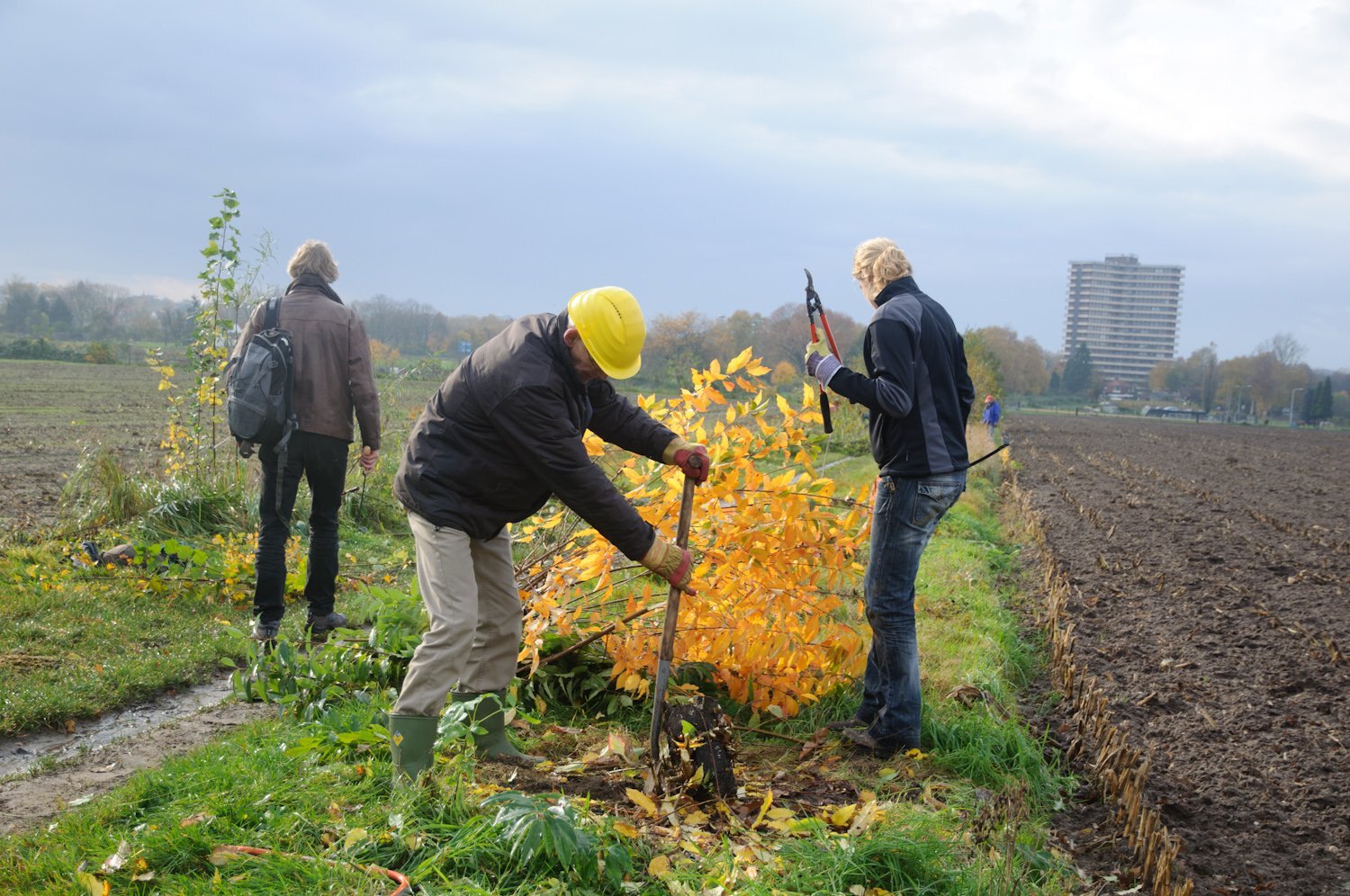  Natuuwerkdag 2017. Foto: Ben Schaap 