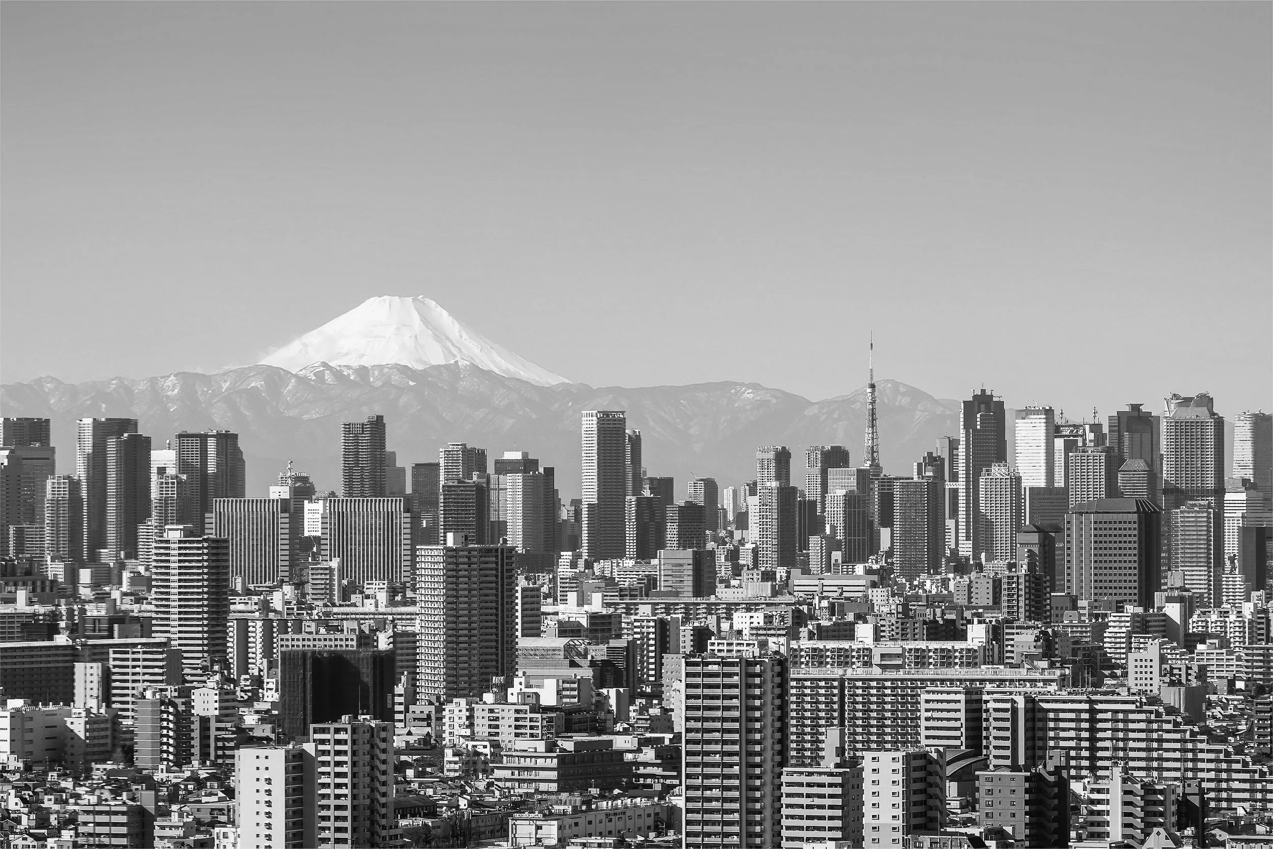 AdobeStock_210499120.jpg