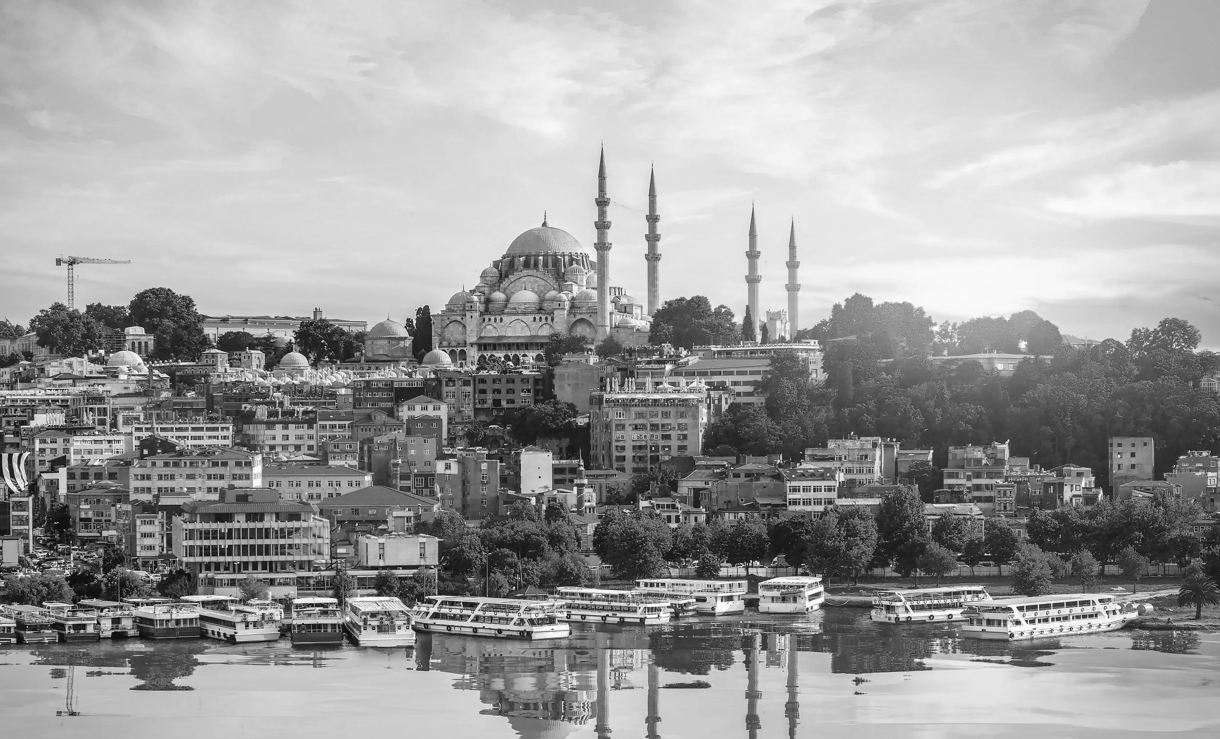 AdobeStock_325394492.jpg