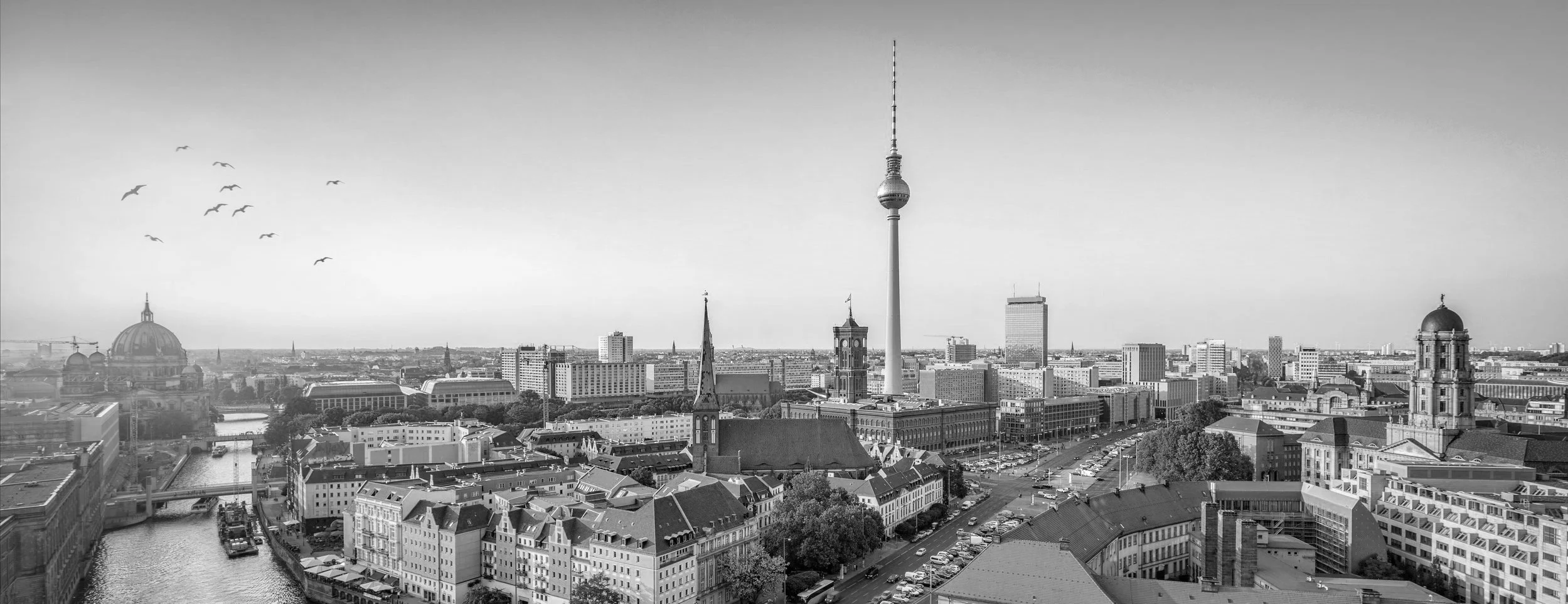 AdobeStock_205887130.jpg