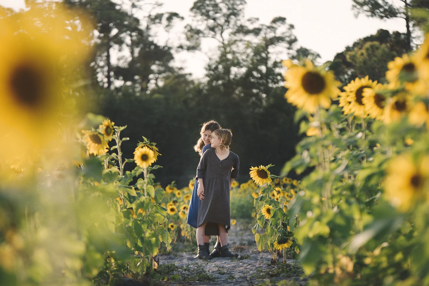 sunflower_lifestyle_family_headshots_florida.1.jpg