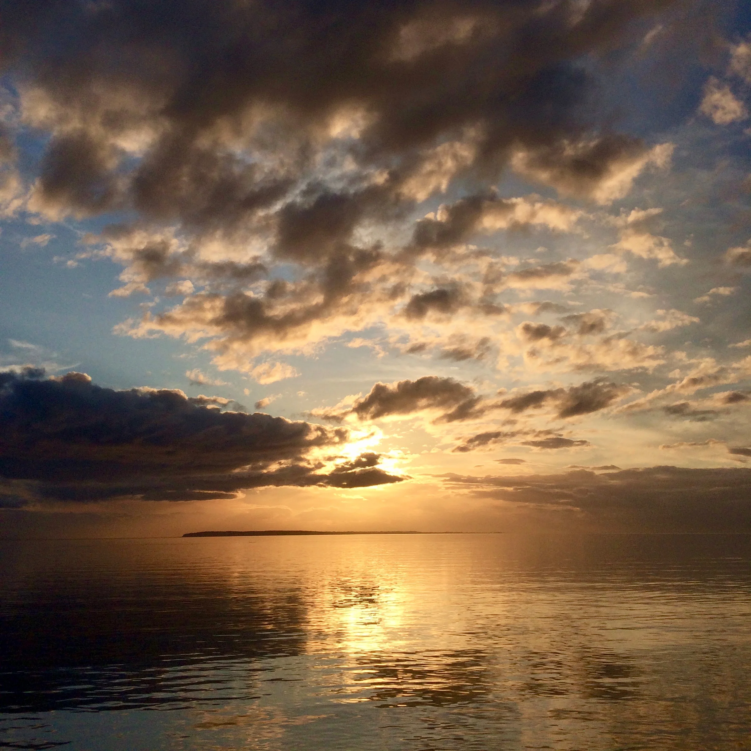 Erika is energetic, thorough and caring