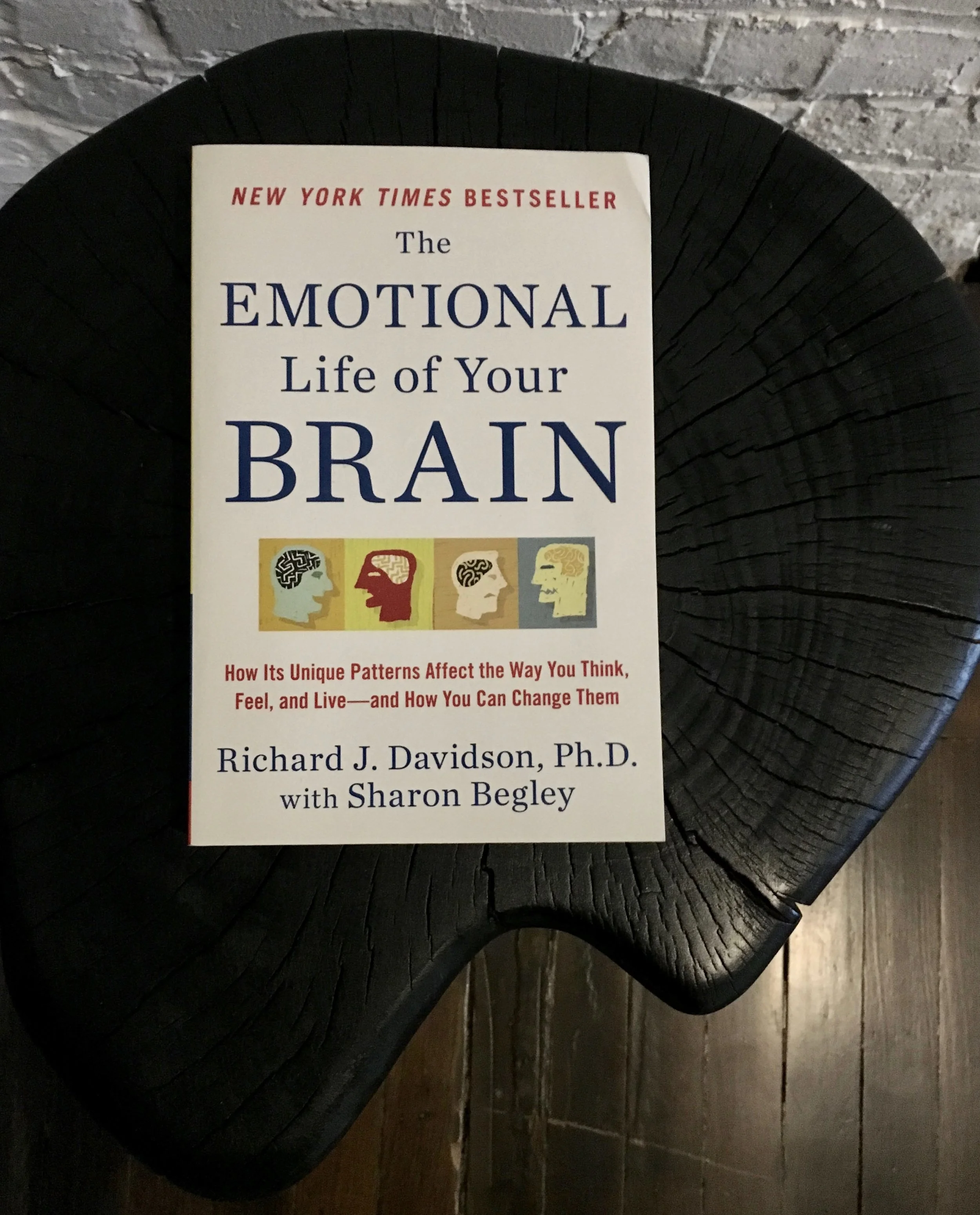 richard_davidson_meditation_book_chill_chicago_mini.jpg