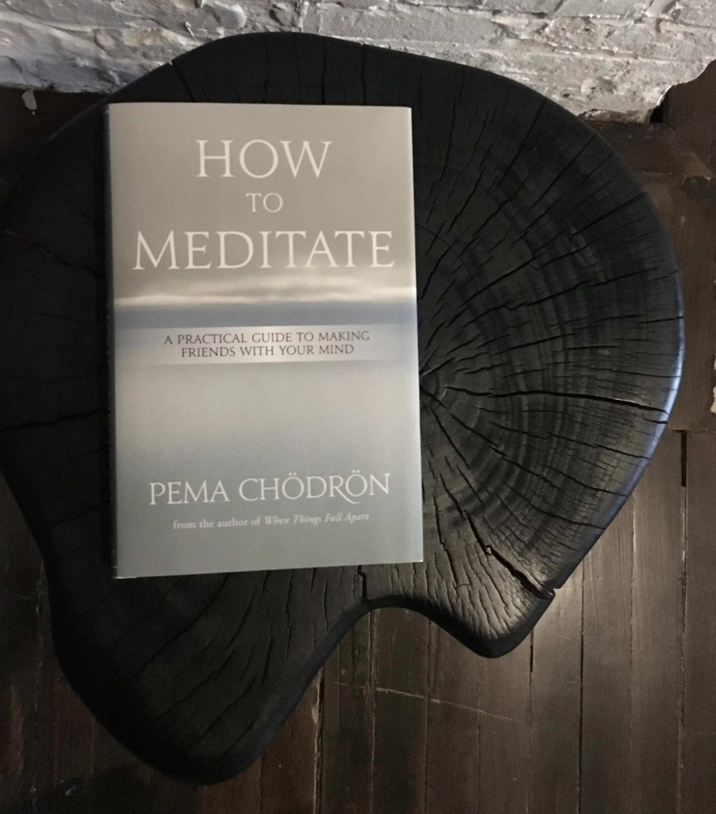 pema_chodron_meditaiton_book_chill_chicago_mini.jpg