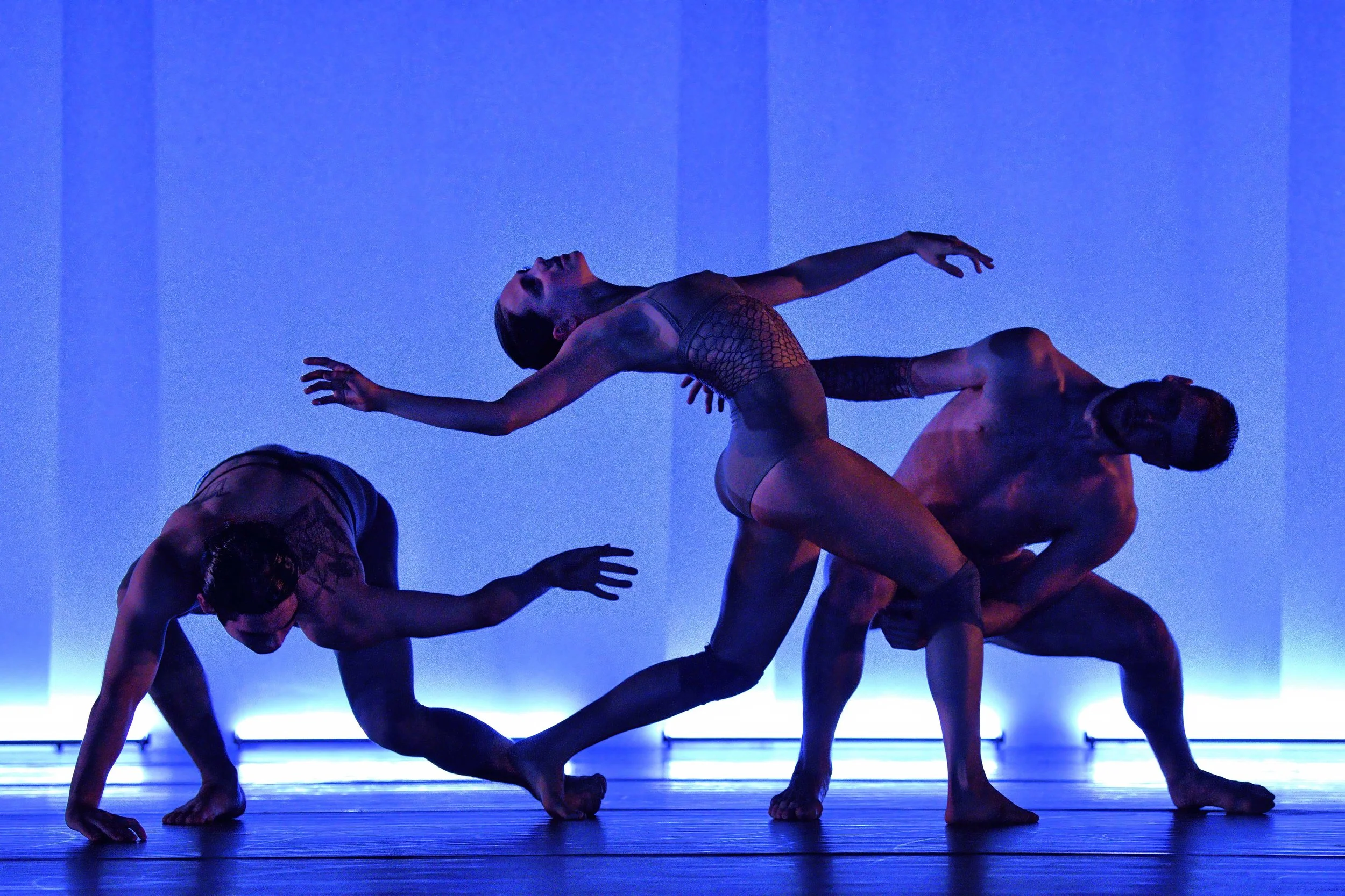 Artists of Ballet BC in RELIC_102 photo©Michael Slobodian_web.jpg