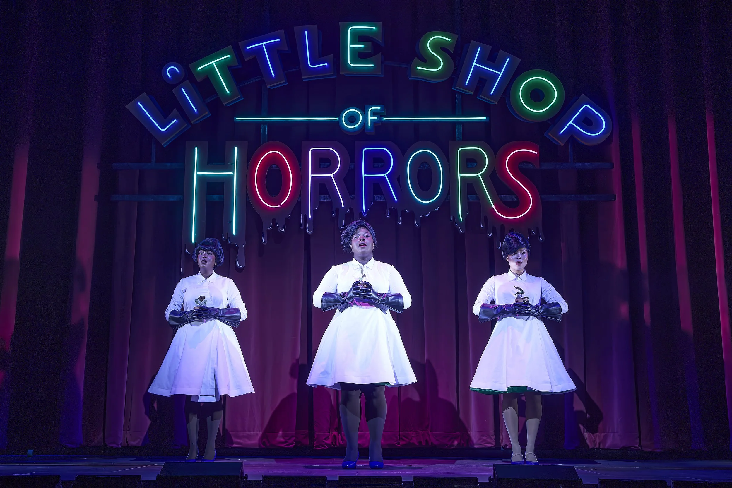 Little Shop of Horrors - 814a.jpg