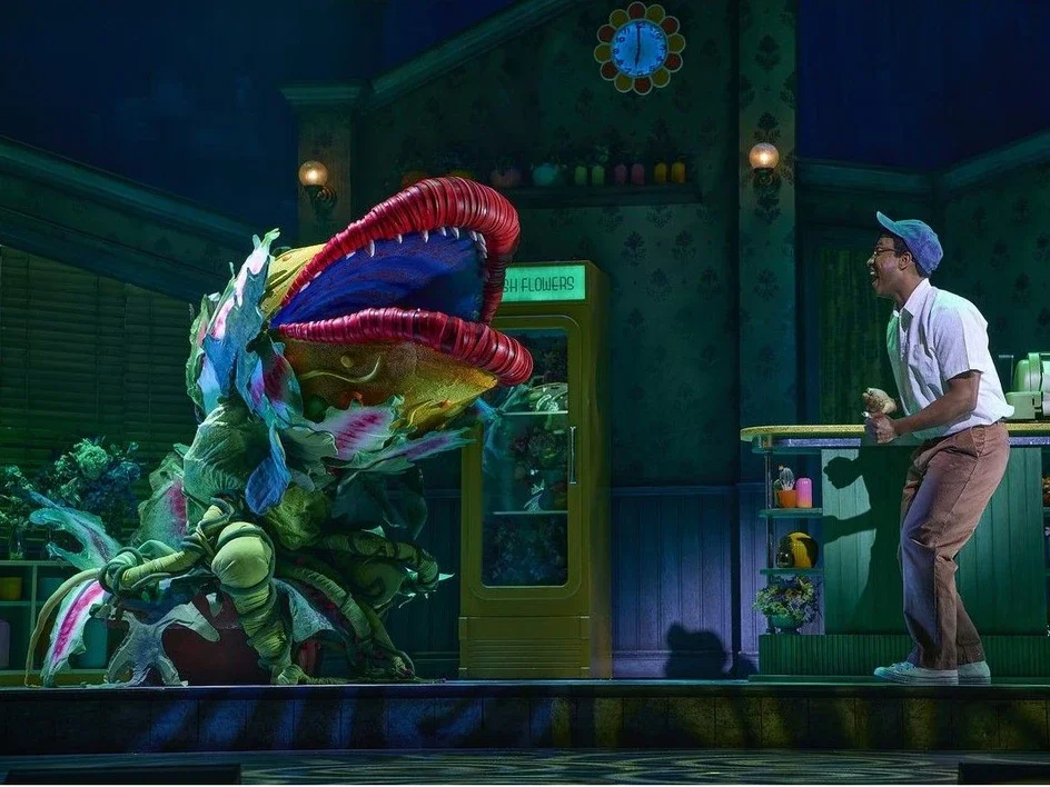little-shop-of-horrors-herald-1_305650019-e1791483829805.jpg.webp