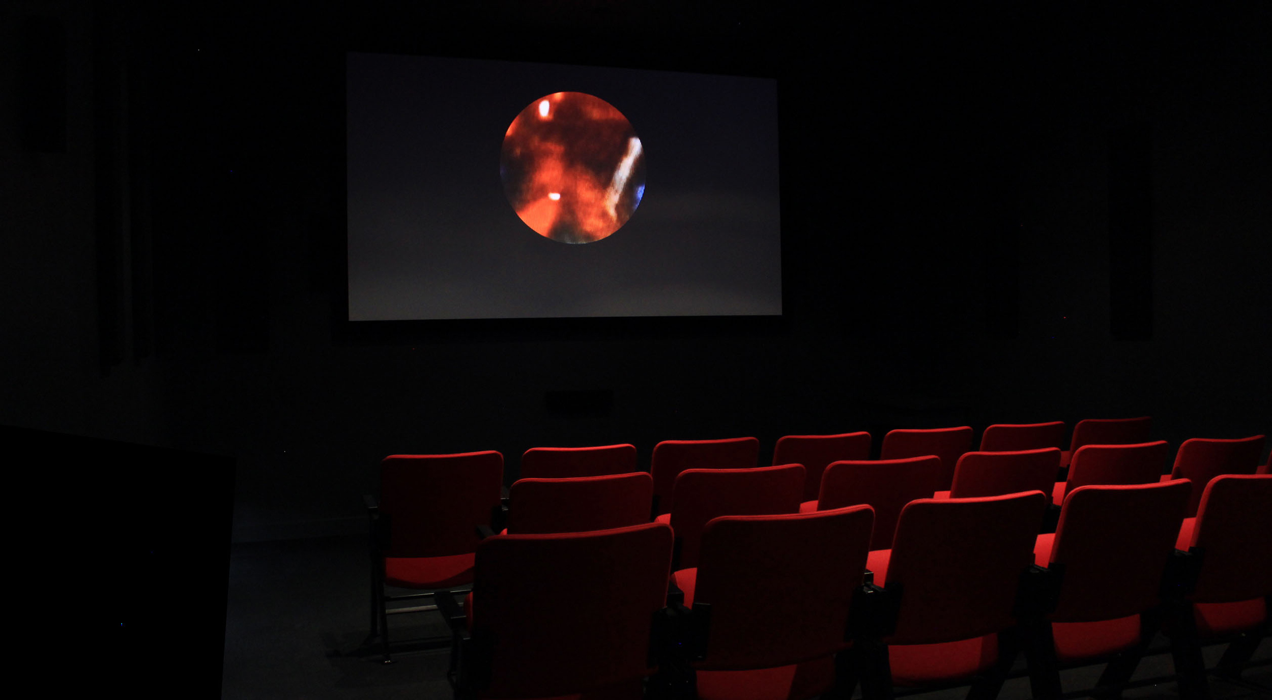 © Ali El-Darsa, The Color Remains the Same (2015). Exhibition view. Photo: Veronica Mockler.