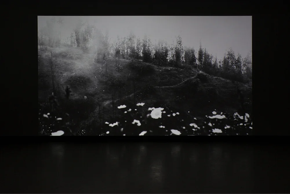 © Gabriela Golder, Tierra Quemada (2015). Exhibition view. Photo: Marilou Crispin.