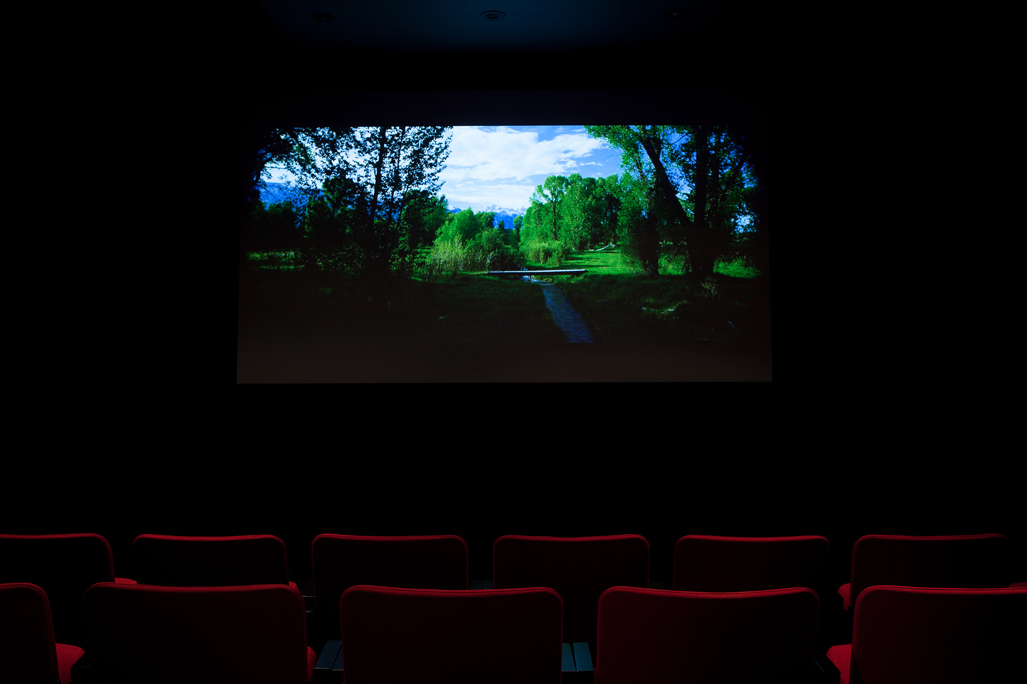 © Phil Peters, The House That (2014). Exhibition view. Photo: Marilou Crispin.