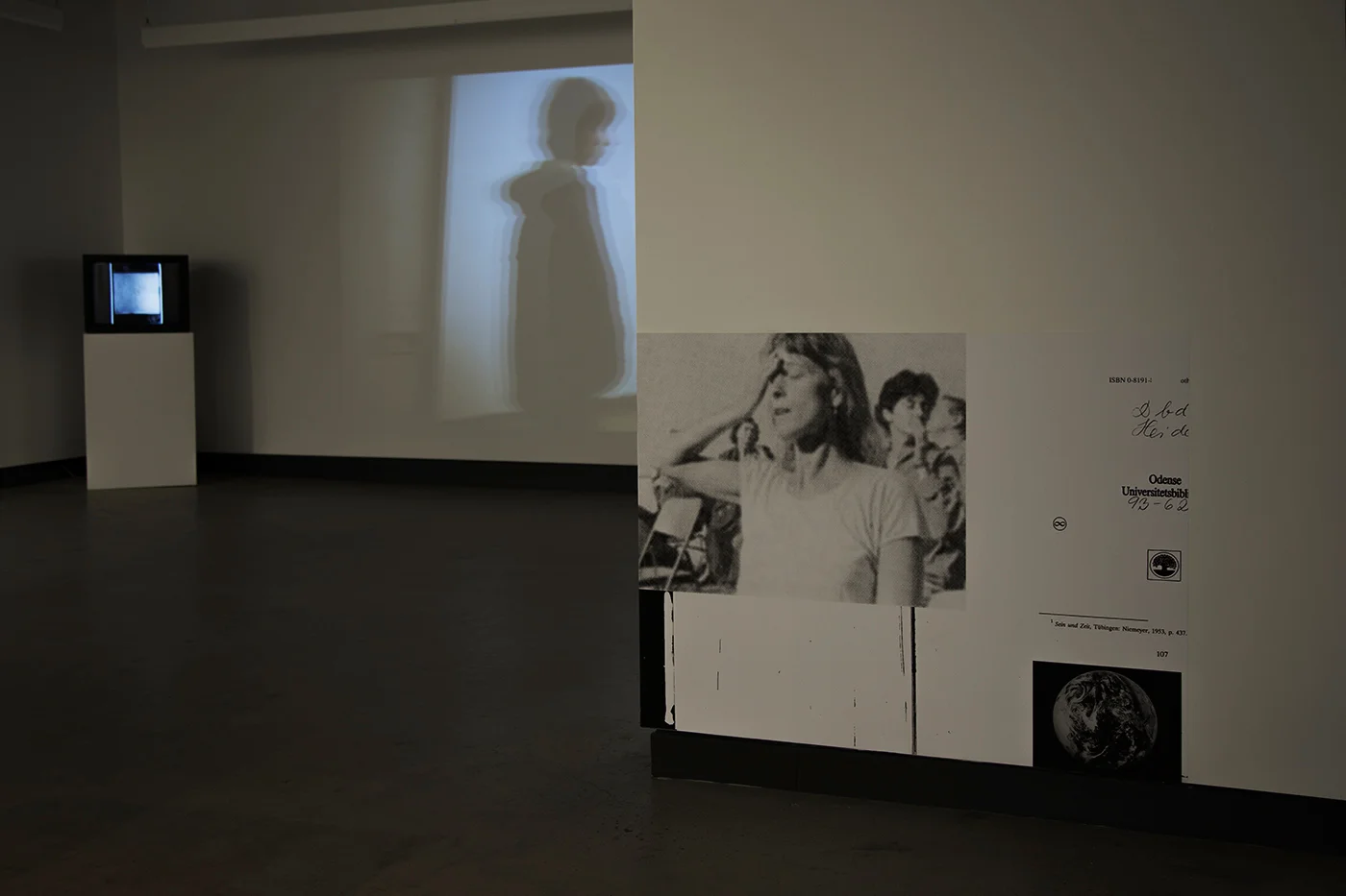 © D’un discours qui ne serait pas du semblant/ Actors, Networks, Theories exhibition view (2014). Photo: Sara A. Tremblay.