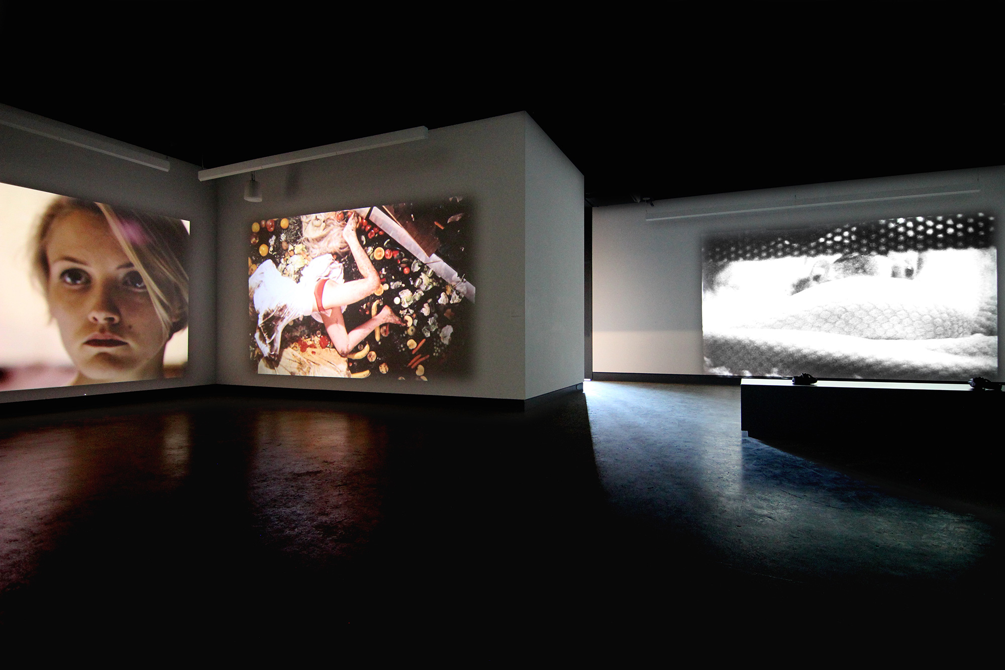 © Reynold Reynolds, Almost Six Pieces exhibition view (2015). Photo: Veronica Mockler.