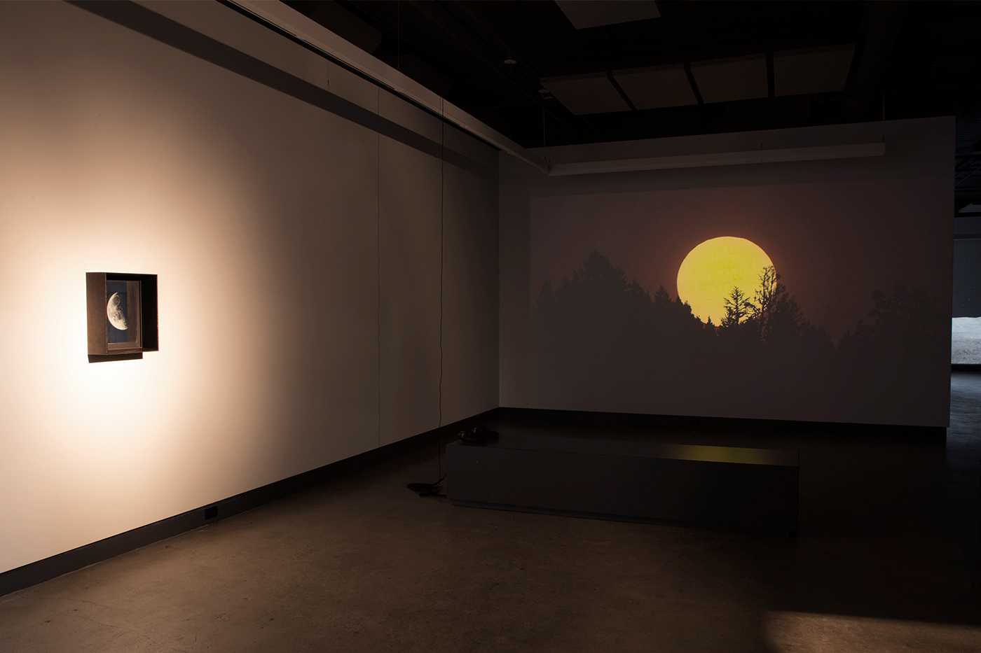 © Scott Massey, exhibition view, Light Adjustments (2014-2015). Photo: Sara A. Tremblay.