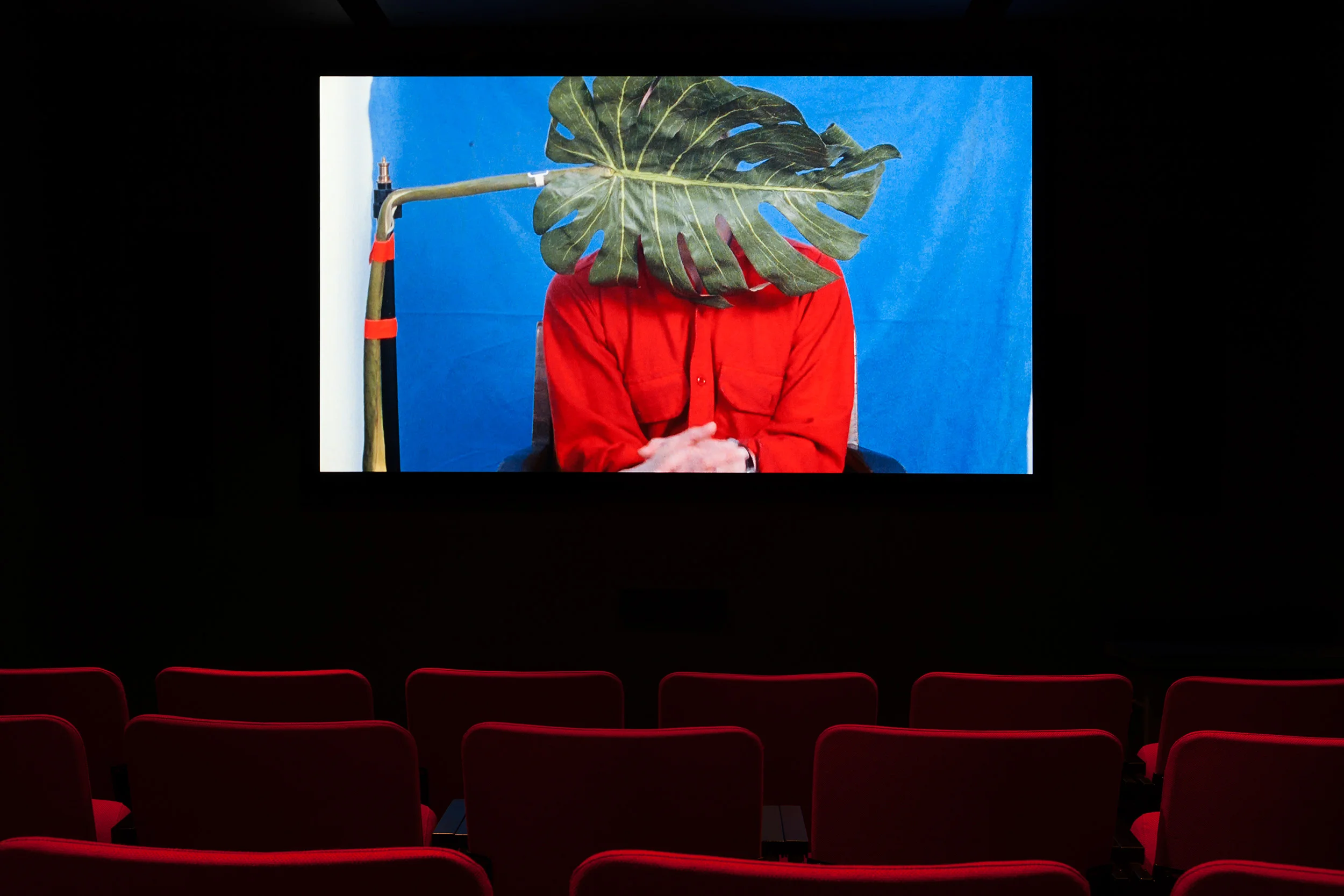 © Sara Cwynar, Soft Film (2016). Exhibition view. Photo: Marilou Crispin. Courtesy of Foxy Production.