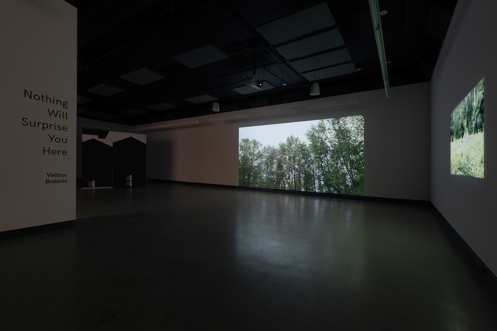 © Velibor Božović, view from the exhibition Nothing Will Surprise You Here (2017). Photo: Marilou Crispin.