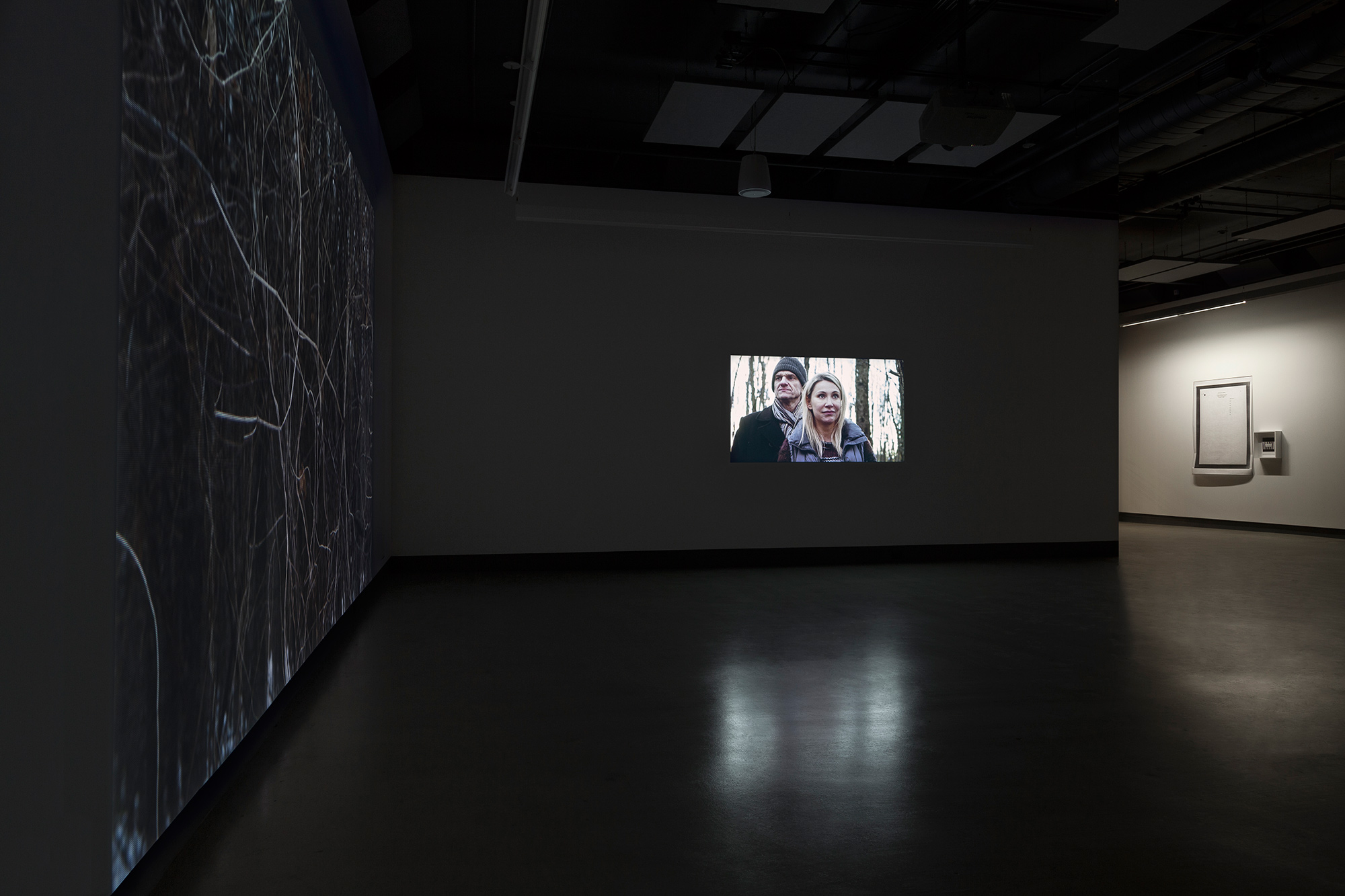 © Velibor Božović, view from the exhibition Nothing Will Surprise You Here (2017). Photo: Marilou Crispin.