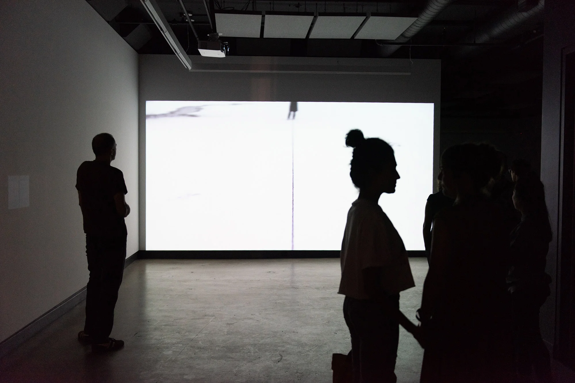  © Photo : Rémi Martel &amp; Thomas Miau (2018). 