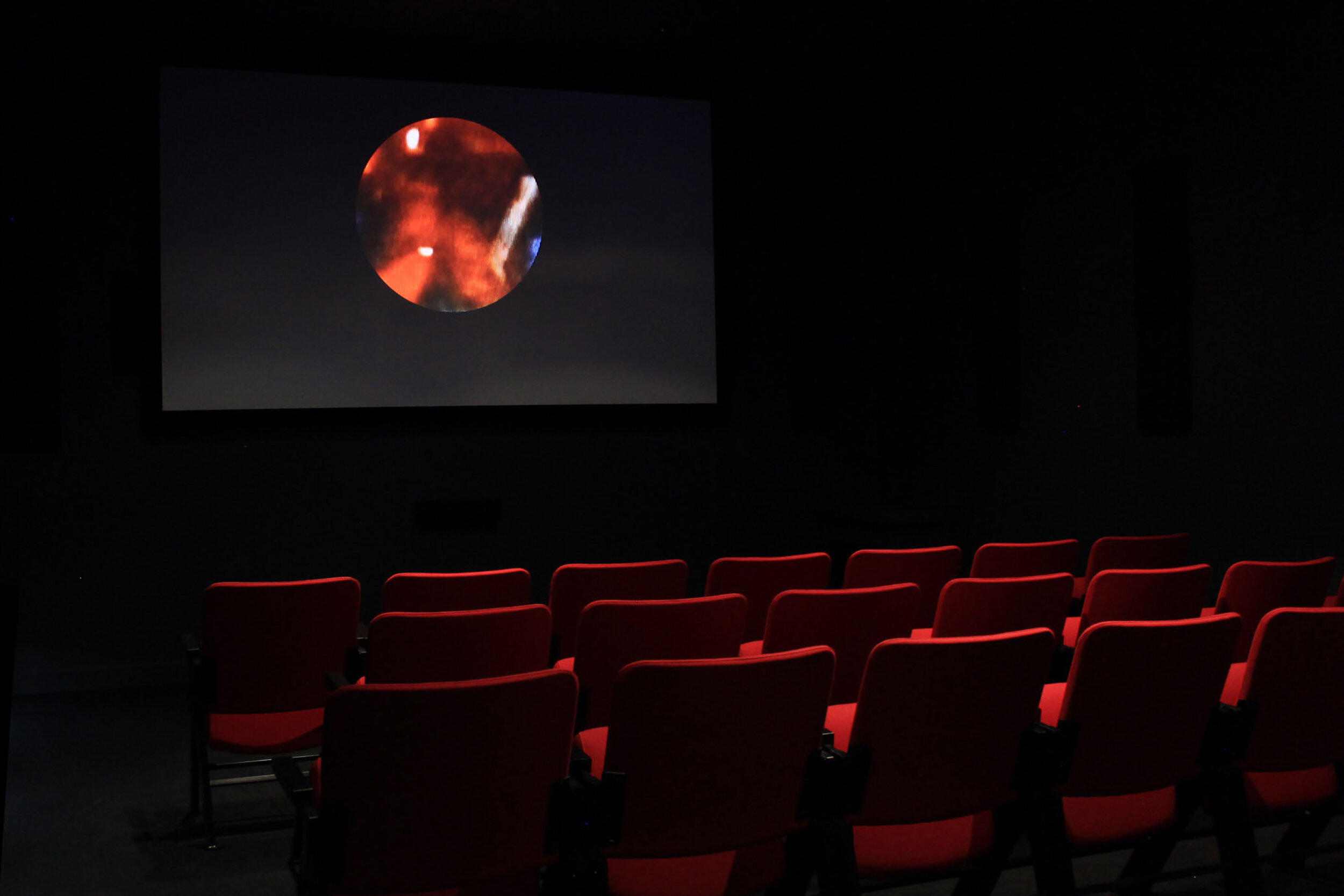  © Ali El-Darsa,  The Color Remains the Same  (2015). Installation view of the exhibition, Dazibao, 2016. Photo: Veronica Mockler. 