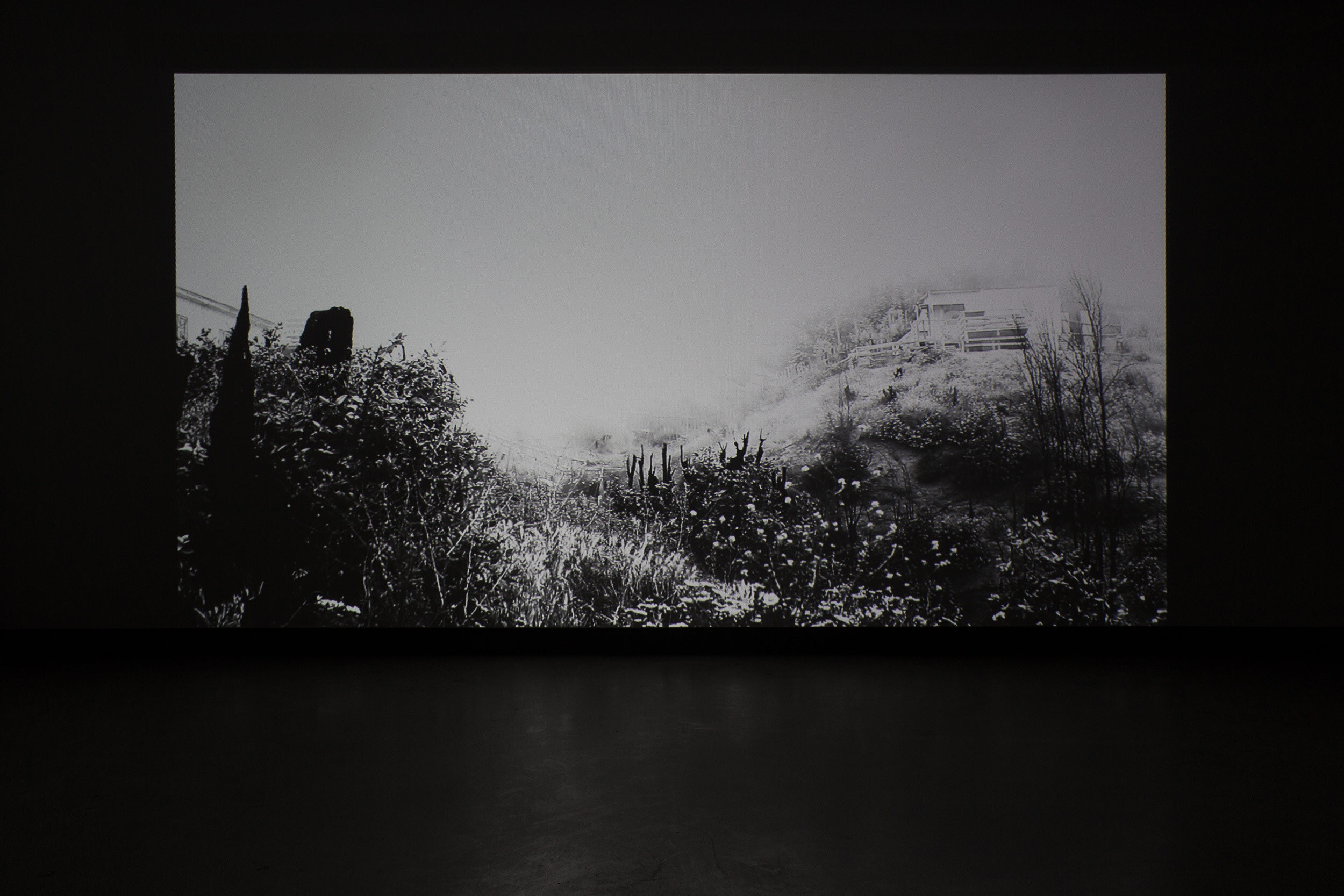  © Gabriela Golder,  Tierra Quemada  (2015). Installation view of the exhibition, Dazibao, 2016. Photo: Marilou Crispin. 