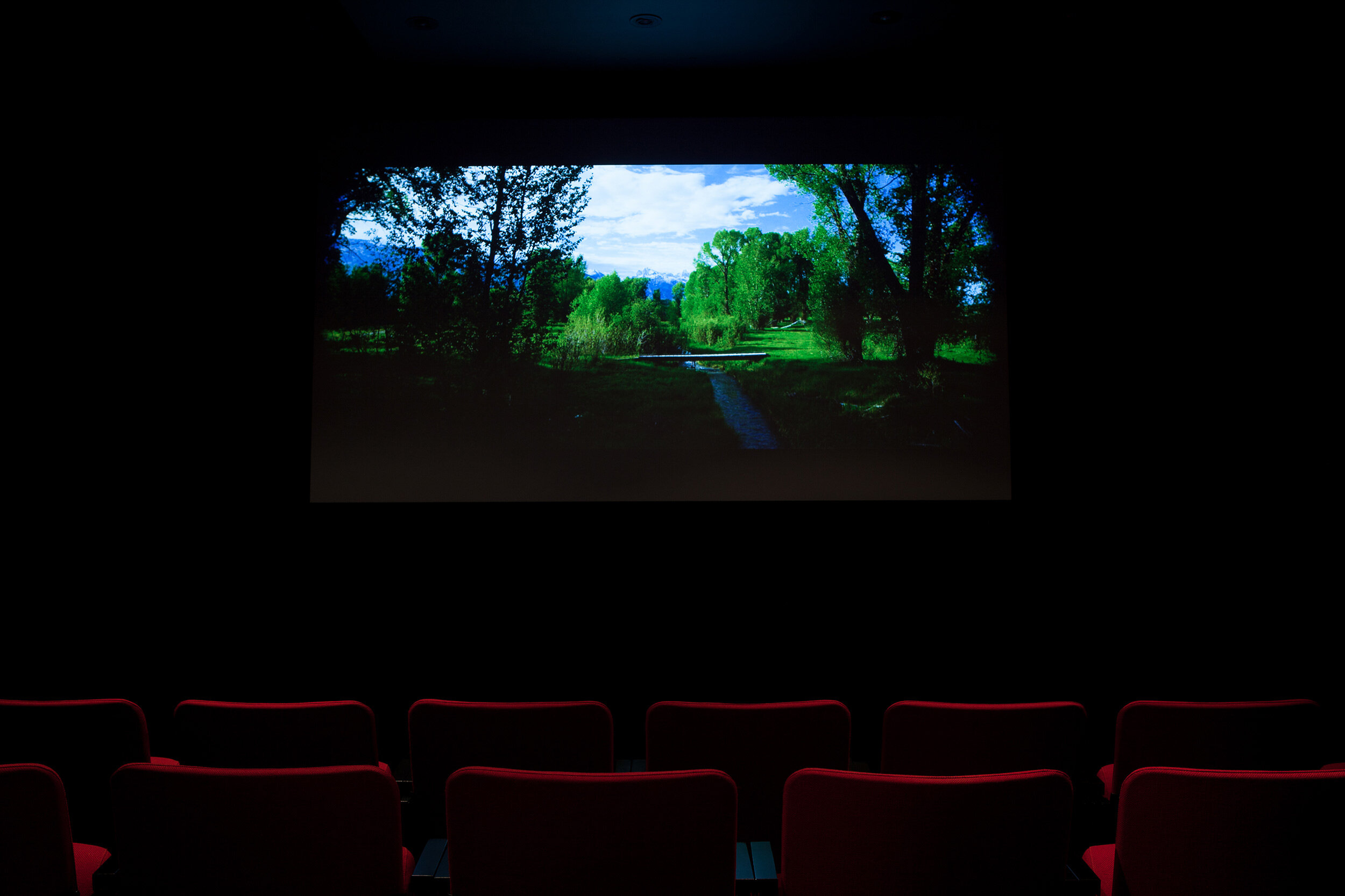  © Phil Peters,  The House That  (2014). Installation view of the exhibition  Connexions , Dazibao, 2015. Photo: Marilou Crispin. 