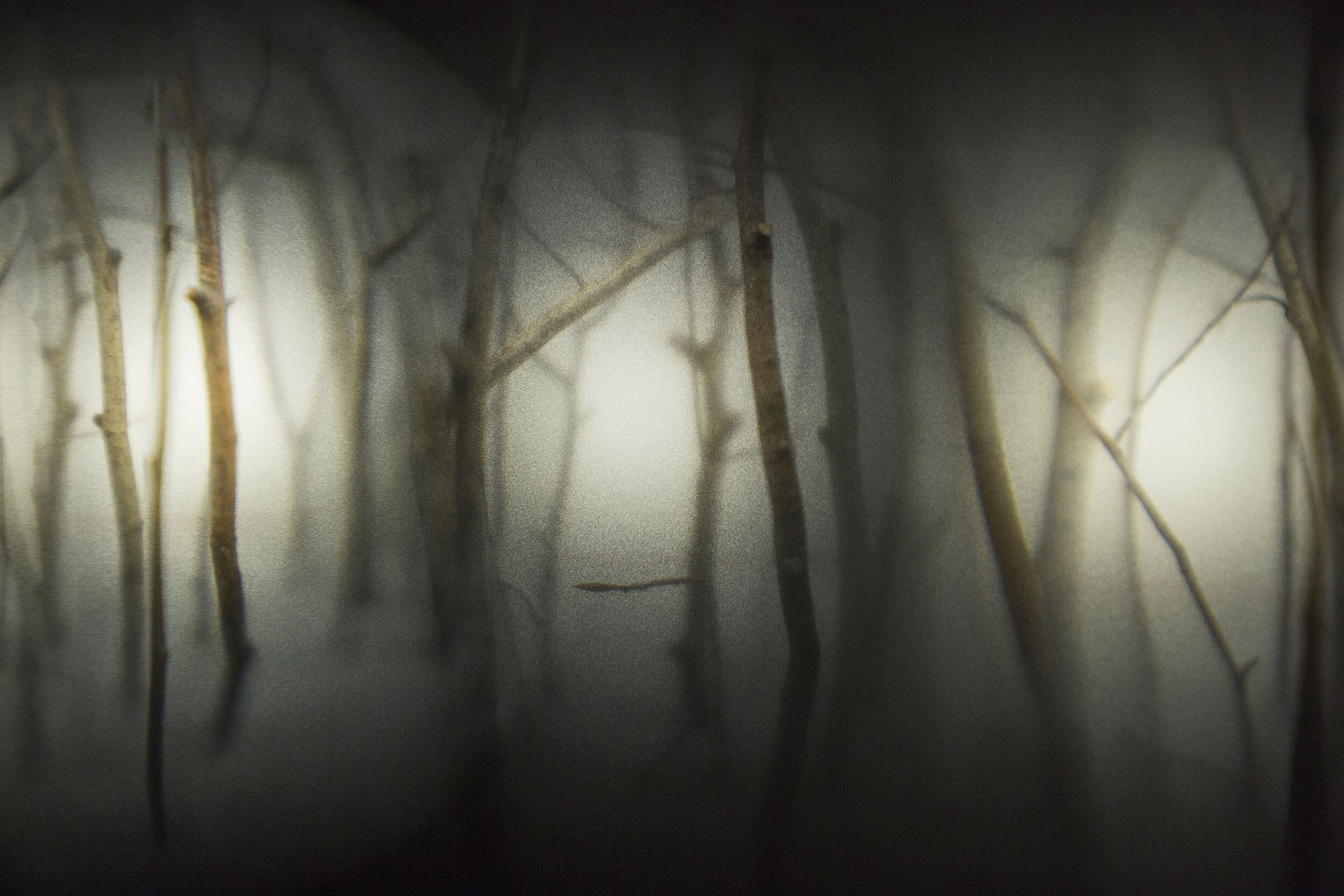  Past work:   My Woodland  (2014). 