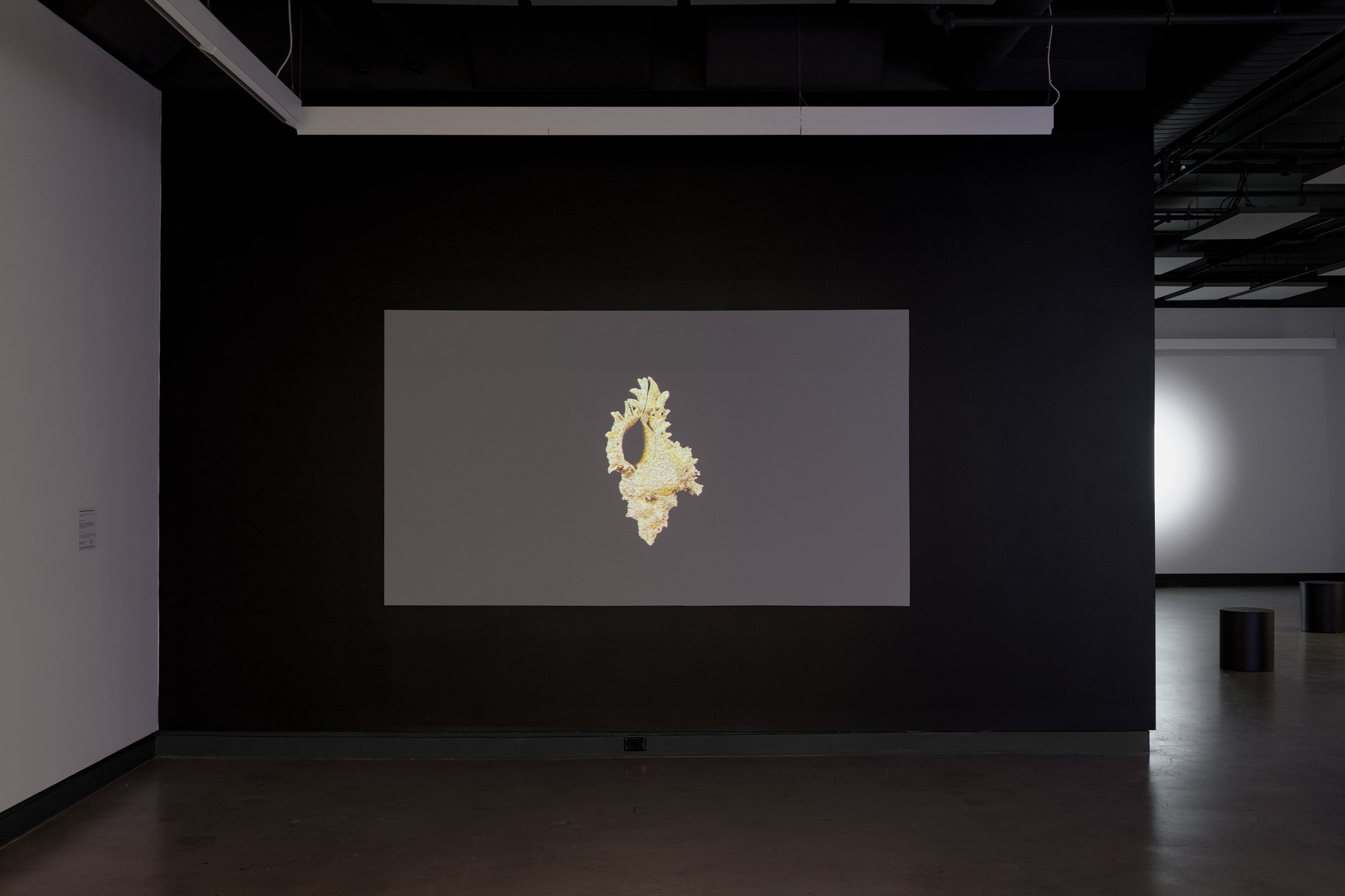  © Julie Tremble,  Abiogenèse : des étoiles aux fossiles  (2022). Installation view of the exhibition  Abiogenèse : des étoiles aux momies , Dazibao. 2022. Photo: Document original. 